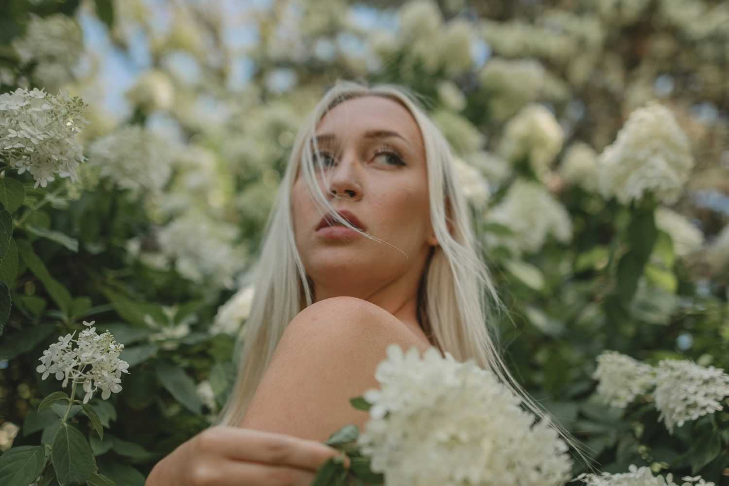 A woman surrounded by blooming white hydrangeas.